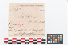 Etikett zu Bronzegehänge (NHMW-PRAE-025722)